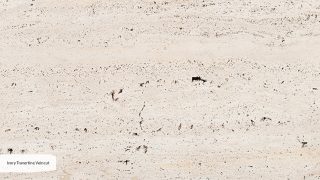 Ivory Travertine VC Raw